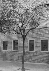 fachada-clinica-oliva-darnes